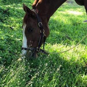 Meet your Posher, Stefanie